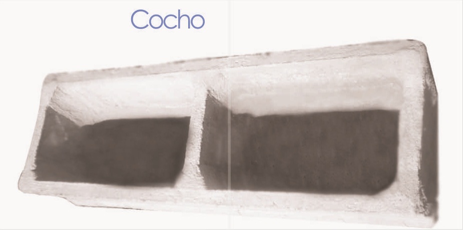 COCHO