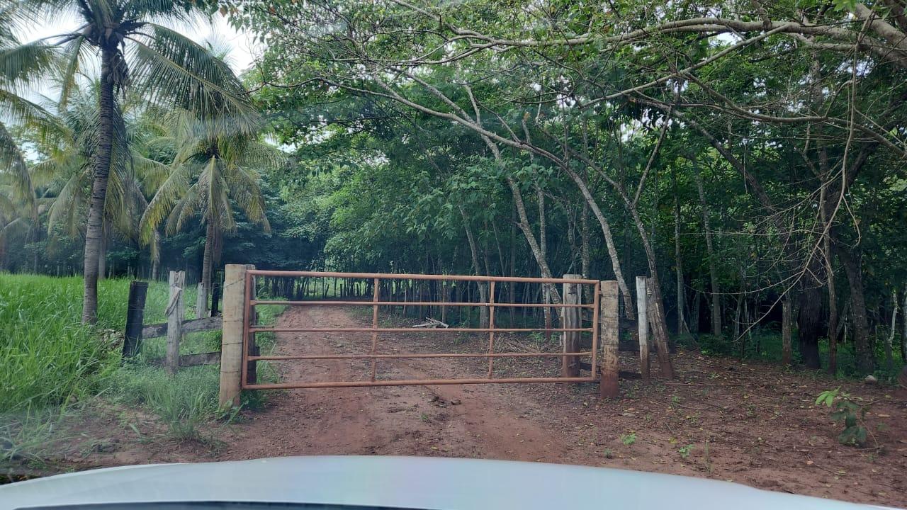 6 ALQUEIRES EM PASTO