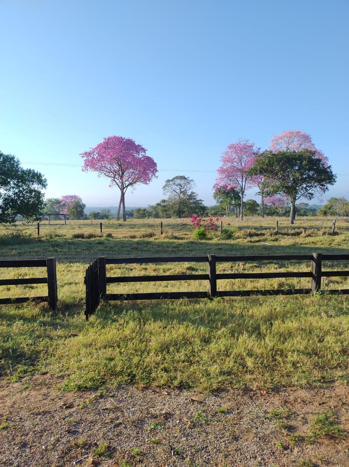  DUPLA APTIDÃO – PORTO ESTRELA