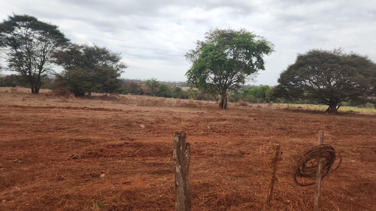 PROXIMO AO FRIGORIFICO MARFRIG