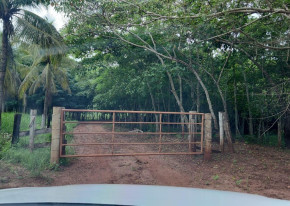 6 ALQUEIRES EM PASTO