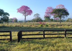 DUPLA APTIDÃO – PORTO ESTRELA
