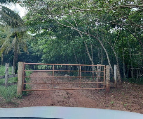 6 ALQUEIRES EM PASTO