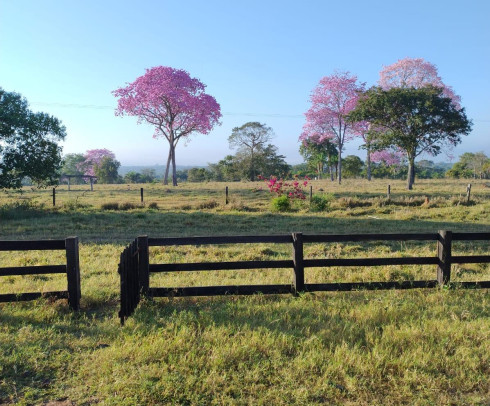  DUPLA APTIDÃO – PORTO ESTRELA