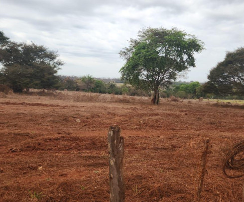 PROXIMO AO FRIGORIFICO MARFRIG